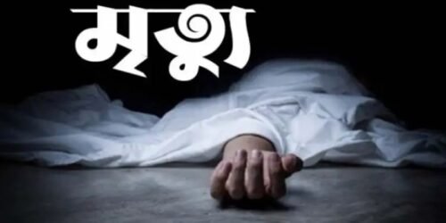 সড়ক দূর্ঘটনায় জকিগঞ্জের একই পরিবারের মা-ছেলেসহ ৩ জন নিহত